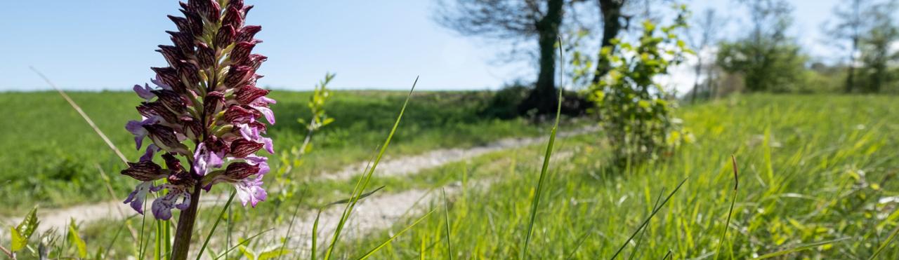 SORGENTI DEL BELBO NATURE RESERVE